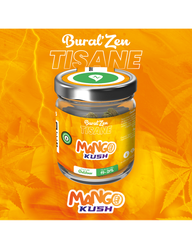 Mango Haze Bural'Zen 10G 
